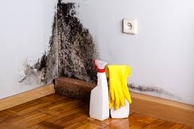 Environmental Consulting for Mold Prevention in Houston, AK